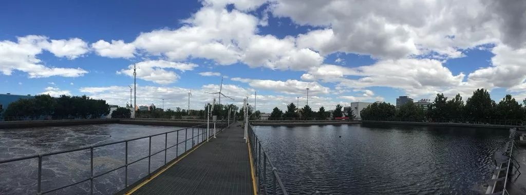 樂中環(huán)?？萍嘉鬯幚韱柎穑?8）：羅茨鼓風機的構造，羅茨鼓風機的優(yōu)點和缺點有哪些