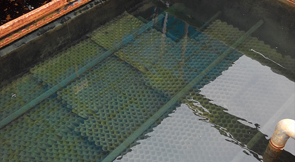 描述污泥特性的指標(biāo)有哪些?-青島樂中環(huán)?？萍加邢薰? />
</p>
<p style=