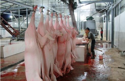 屠宰廢水處理方法有哪些？屠宰廢水處理設(shè)備價格？-01