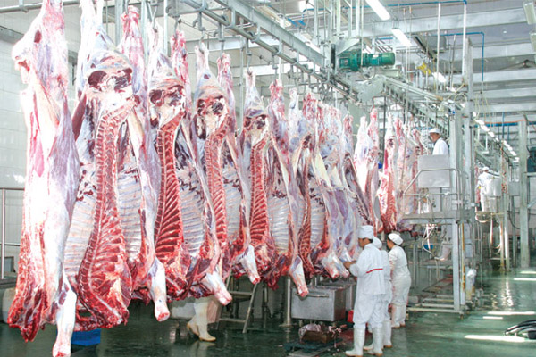 屠宰廢水處理方法有哪些？屠宰廢水處理設備價格分享