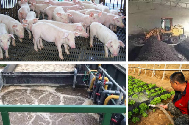 養(yǎng)殖污水處理一體設(shè)備多少錢？養(yǎng)殖污水處理方法