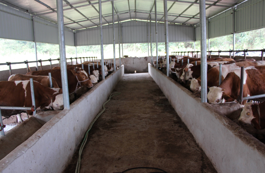 養(yǎng)殖場污水處理方法，養(yǎng)殖污水處理設(shè)備的用途講解02