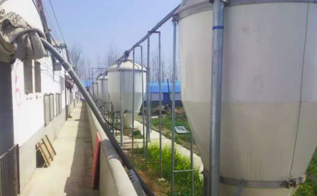 養(yǎng)豬污水處理設(shè)備一套多少錢？掌握這三點幫助你節(jié)約成本