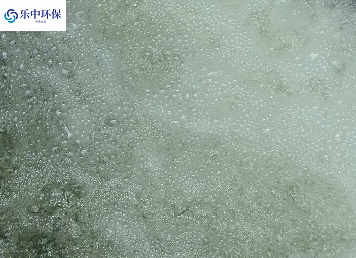 溶氣氣浮機(jī)泡沫多什么原因？如何解決？