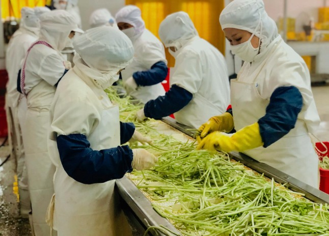 三種食品污水處理設(shè)備工藝流程，看看哪種適合您？