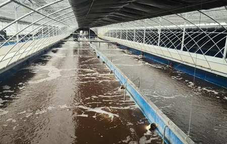 畜禽污水處理的方法、步驟（主流畜禽污水處理工藝有哪些）