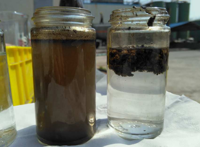 AO工藝出水SS高什么原因|怎么辦？